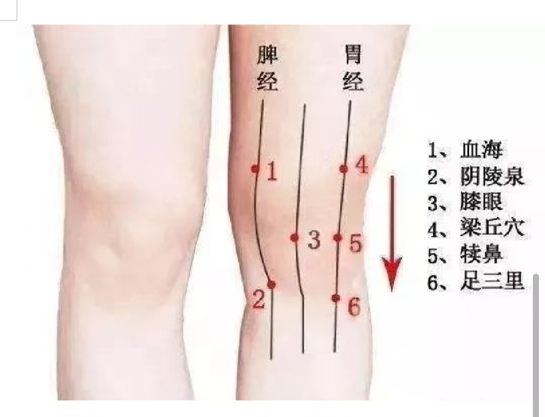 膝关节总“罢工”怎么办？